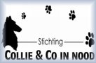 Collie